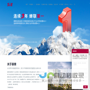 赛意信息