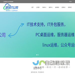 武汉IT公司