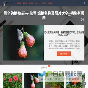 植物图谱