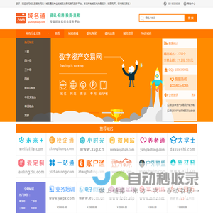 域名通