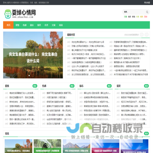 真正的励志