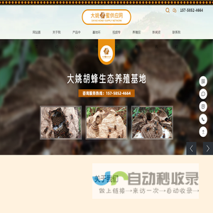 胡蜂养殖