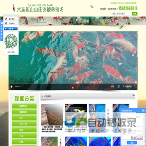 大连福山锦鲤养殖场