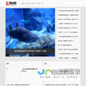 贵州网