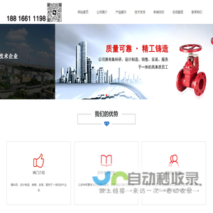 埃维柯阀门