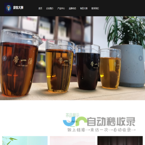 获客大狮（武汉）广告传媒有限公司企业官网