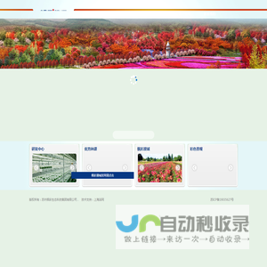 枫彩集团