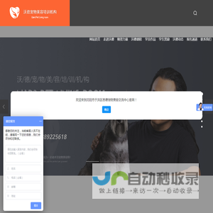 宠物美容培训