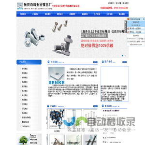特殊螺丝