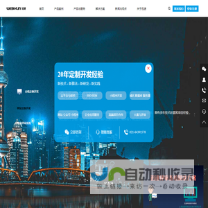 上海网站开发