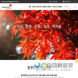 沼气提纯,脱硫