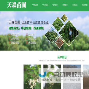 繁荣种畜场天森苗圃