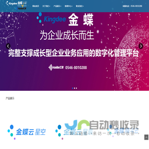 东营金蝶