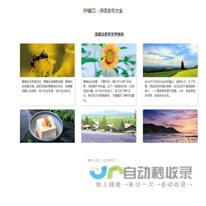 89窗口