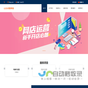 电商运营指导