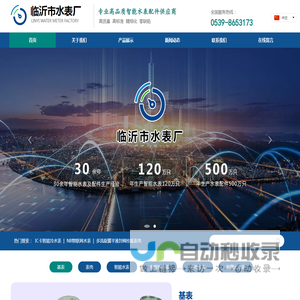 临沂水表