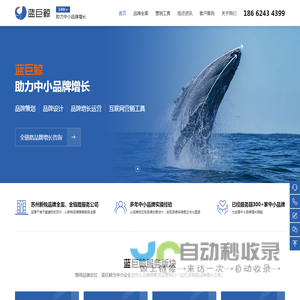 蓝巨鲸品牌推广（苏州）有限公司