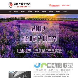 花卉种子