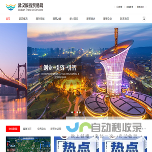 武汉市服务贸易(外包)协会