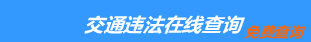 （手机版）齐齐哈尔交通违章查询