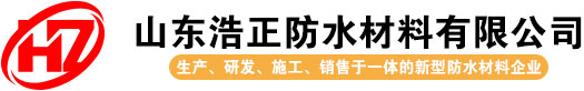 首页