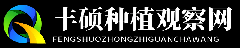 丰硕种植观察网