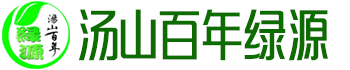 有机蔬菜