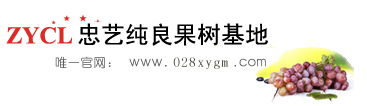 四川成都龙泉忠艺纯良果树苗基地