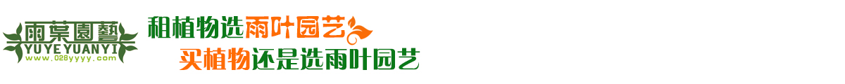 【成都租花】郫都区