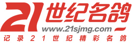 21世纪名鸽网