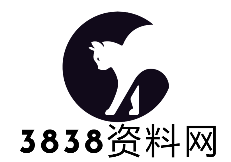 3838资料网