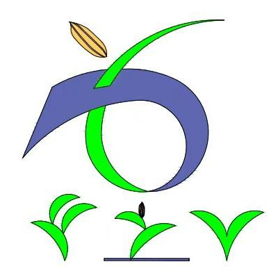 安徽丰之源新型膜材料有限公司水稻专用全生物降解地膜