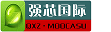 强芯国际集团