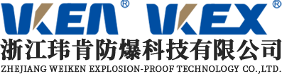 浙江玮肯科技