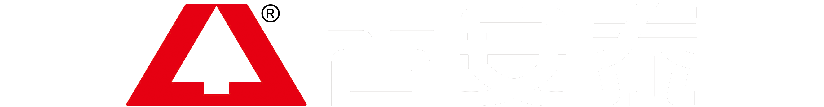 电子内窥镜