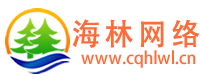 重庆海林网络