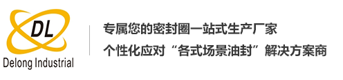 橡胶密封圈