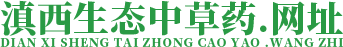 明日叶种植