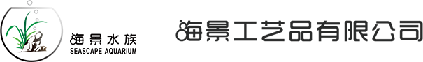 打鸟的枪,打鸟工具大全,打鸟专用抢,买打鸟的抢,打鸟抢要多少钱一把