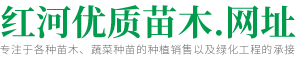 开远市增辉工程服务有限公司