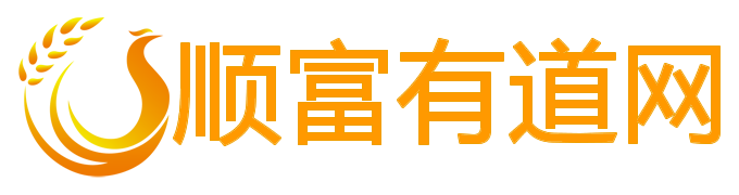 免费算命