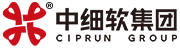 中细软