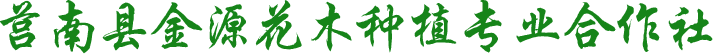 莒南草花基地