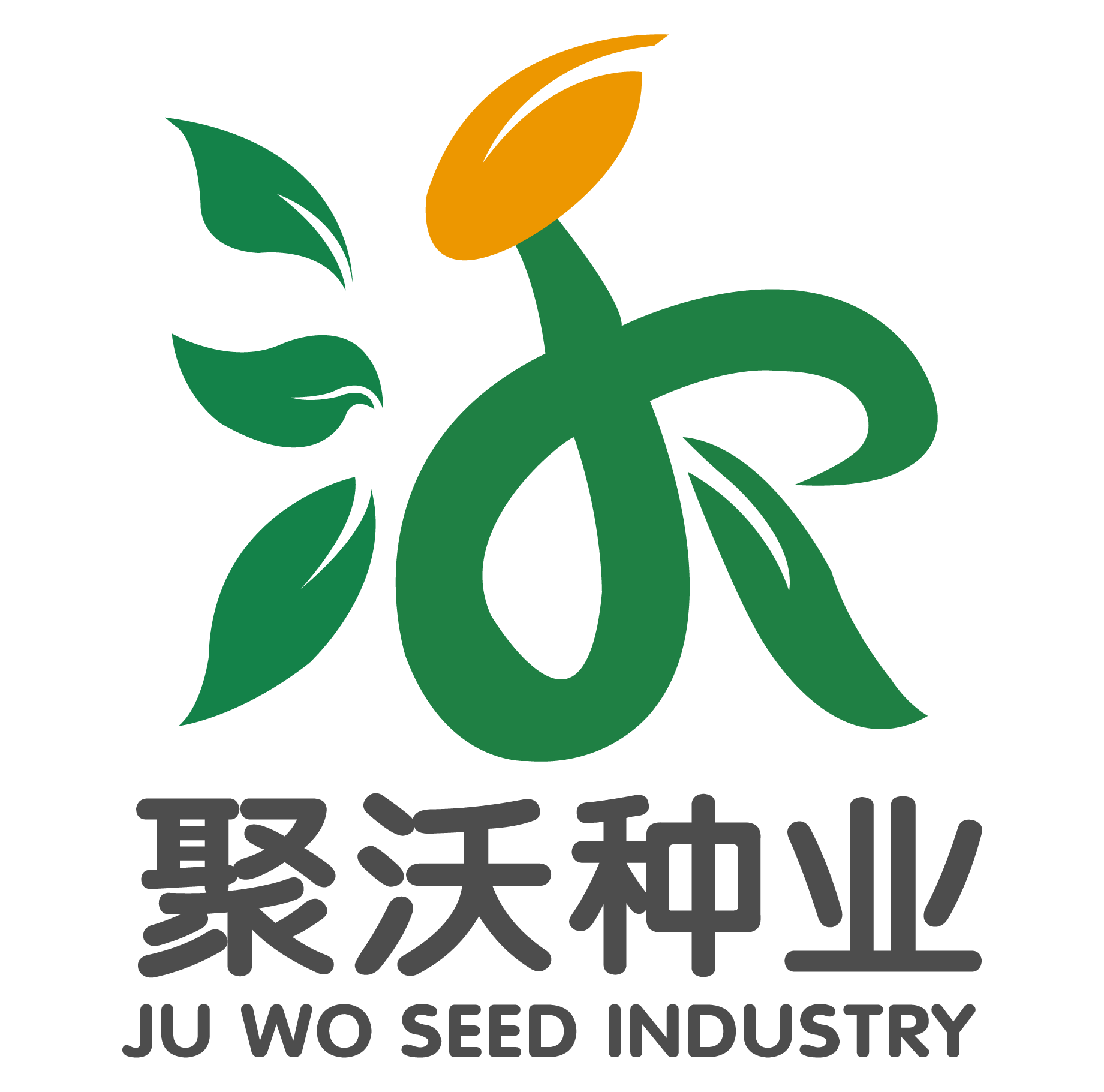 首页,谷子种子,甘蓝种子,聚沃种业
