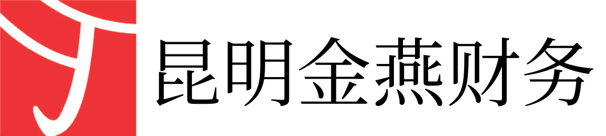 昆明金燕财务