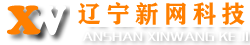 辽宁网站技术开发