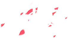 花雨庭官网
