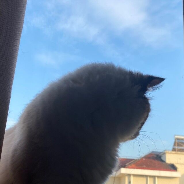 美遴人力资源