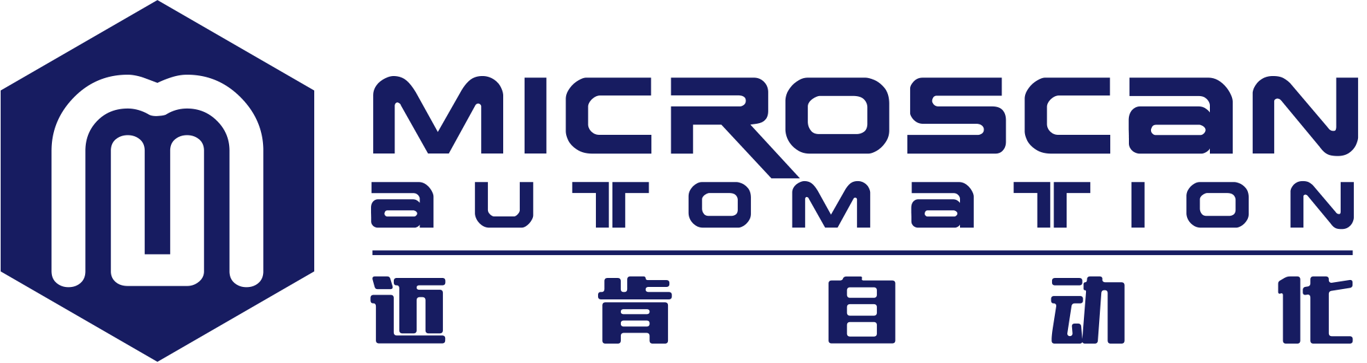 丹阳市迈肯自动化科技有限公司
