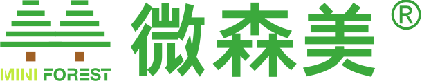 广东微森美智能设备有限公司